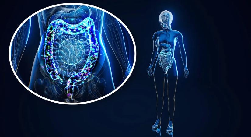 Botrány: ártalmatlannak hitt vegyületekkel mérgeznek minket
