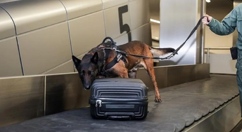 Lengyelországban egy férfit három hónapra letartóztattak, mert felügyelet nélkül hagyta poggyászát a repülőtéren