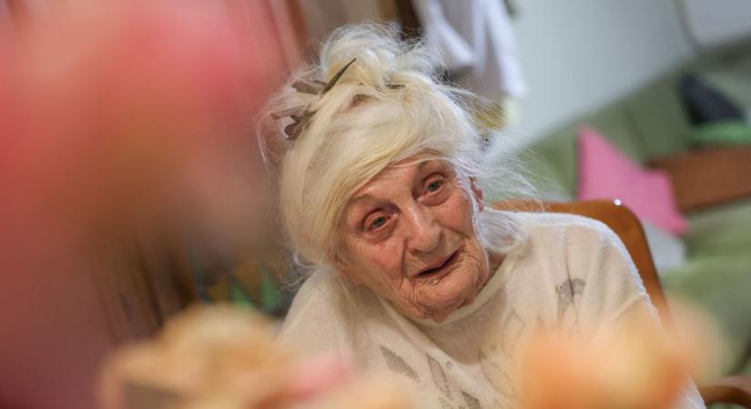 Élet a versek bűvöletében – Kothencz Jánosné története (galéria)