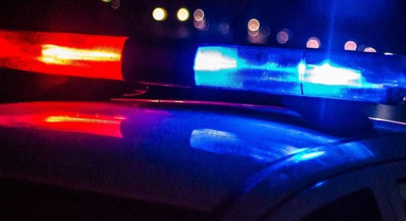 Vadat gázolt egy autó a 710-esen, a mentőket is riasztani kellett