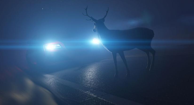 Súlyos baleset a 68-as főúton – szarvas rohant az autó elé