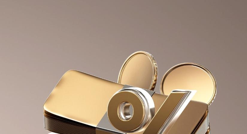 Az átlagos foglalkoztatotti létszám alapján rangsorolt legnagyobb 50 vállalkozás elemzése