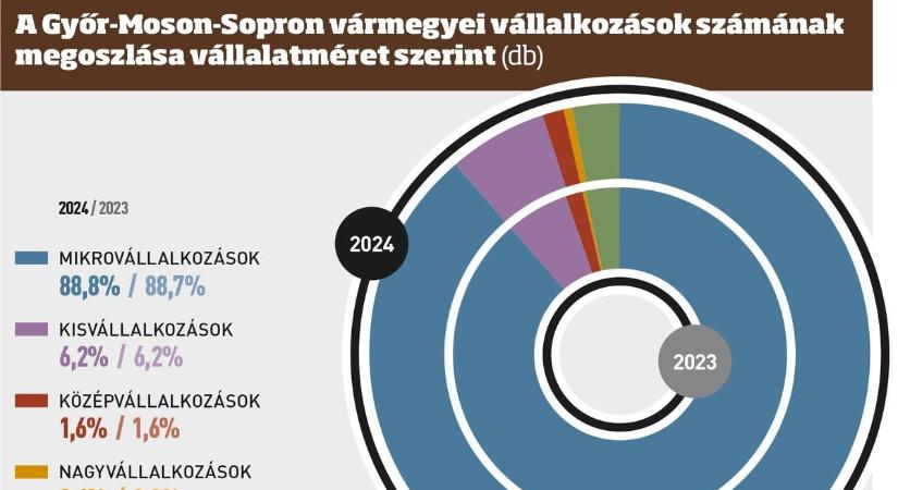 A GYŐR-MOSON-SOPRON VÁRMEGYEI TÁRSAS VÁLLALKOZÁSOK GAZDASÁGI SZEREPE A TÁRSASÁGIADÓ-BEVALLÁSOK TÜKRÉBEN