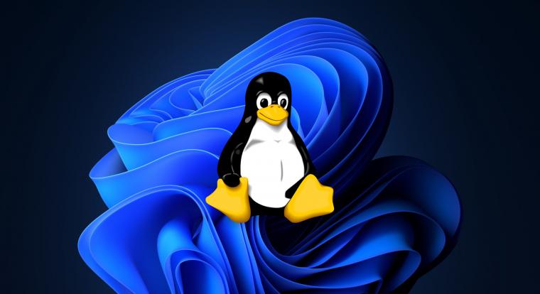 Újabb csúcson a Linux, ezek a legnépszerűbb verziók