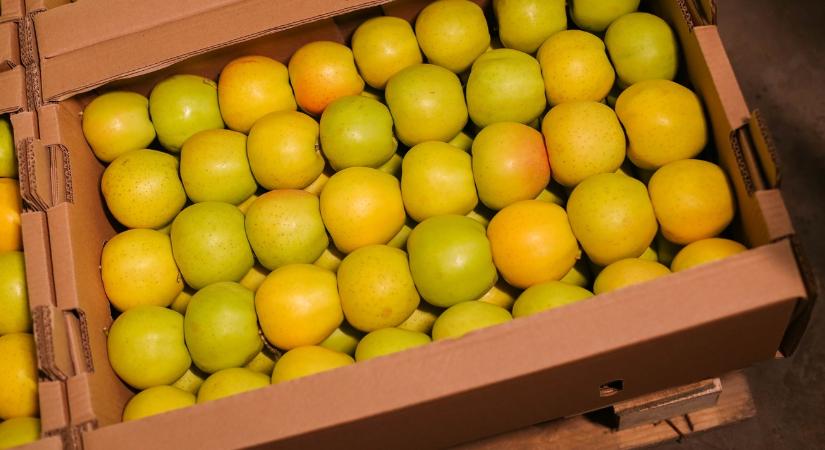 Kényes kérdés: mibe csomagolod a gyümölcsöt?