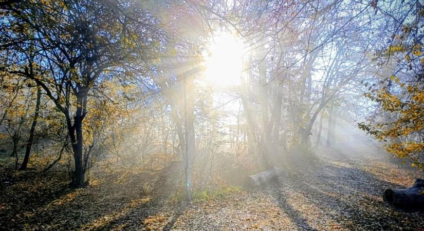 December eleji meglepetés: enyhe, változékony idő várható csütörtökön