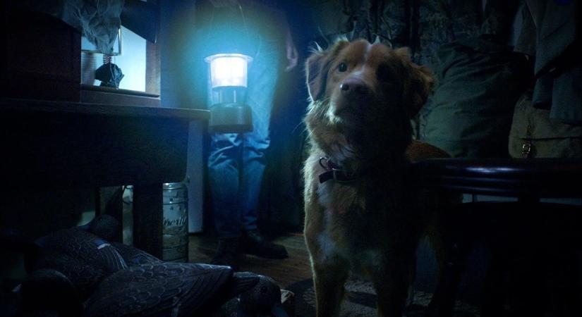 Szinkronos előzetest kapott a Jó kutya, az év egyik horror-meglepetése