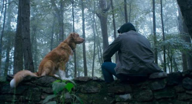 Ebben a házban nem stimmel valami – Szinkronos előzetesen a Jó kutya