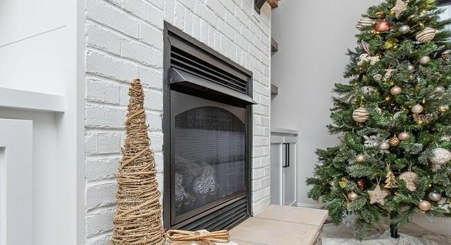 Milyen fenyőfát válasszunk karácsonyra? Útmutató az idei ünnepi szezonra