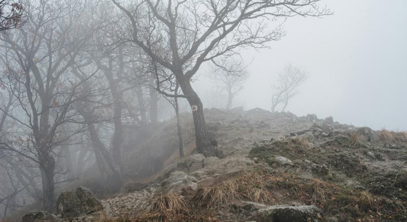 Időjárás 2025. december 4.: Ködös reggel után borongós, csípős lesz a délután