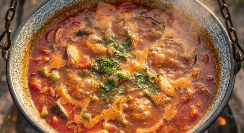 A legautentikusabb balatoni halászlé elkészítésének módja  recept!