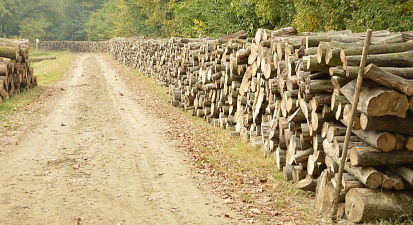 Nagy István: az otthon melege mindenkinek jár Magyarországon – videóval
