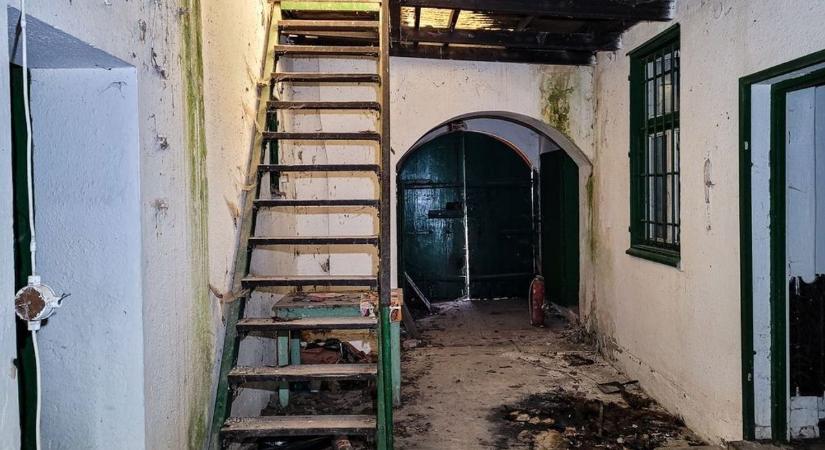 Titokzatos kastélyt rejt a nógrádi erdő, még Mikszáth Kálmán is harcolt érte: fotók bizonyítják, milyen szörnyű állapotban van