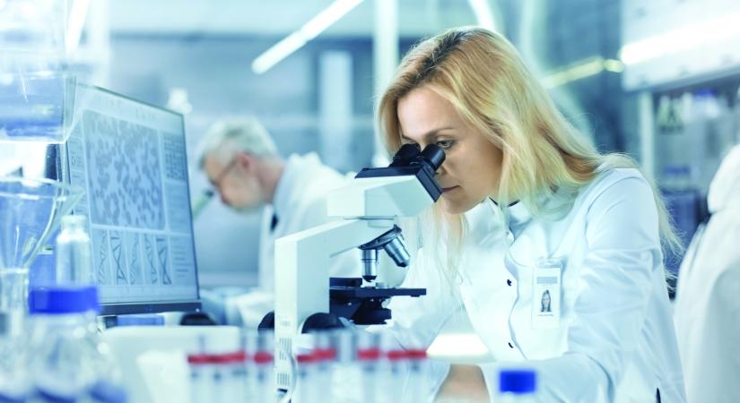 Calicivírus-járvány okozta közel 600 ember megbetegedését