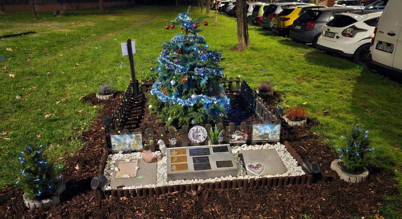 Mesésen néz ki a Mancz János utca panelháza Székesfehérváron (képgaléria)