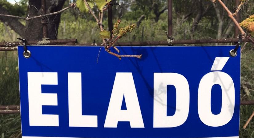 Leesett az állunk Eger legdrágább eladó házaitól – aranybányán ülsz, ha neked is itt van ingatlanod