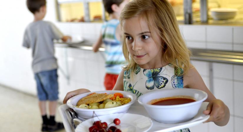 Kiderült, miért kapott ételmérgezést több mint 500 óvodás gyermek novemberben