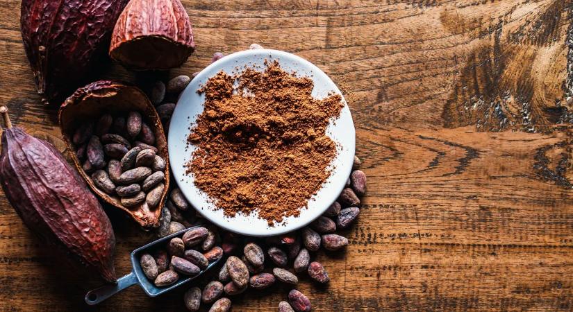 Azt hiszed tilos, pedig nem: 31 ok, amiért a kakaó beilleszthető a diétába