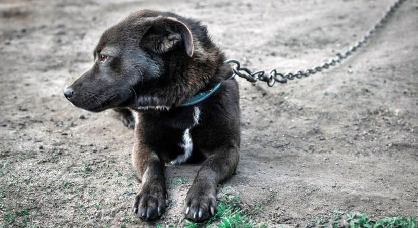 Véget ért a türelmi időszak, súlyos büntetés vár a szabálysértések elkövetőire