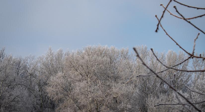 Borult égbolt, köd és helyenként szitálás várható
