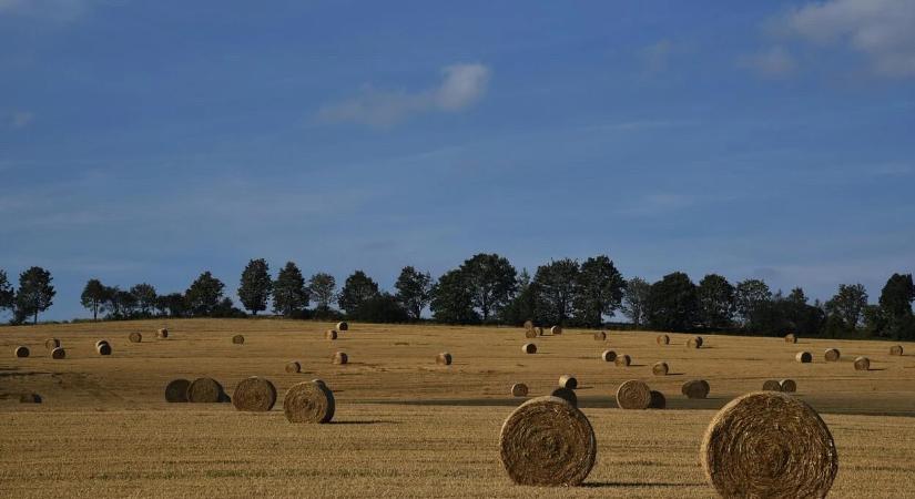 Agrometeorológia: folytatódik a talaj töltődése nedvességgel