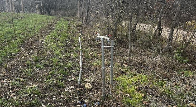 „Pusztaverszájon nem fog az aszály” – posztolta Hadházy Ákos