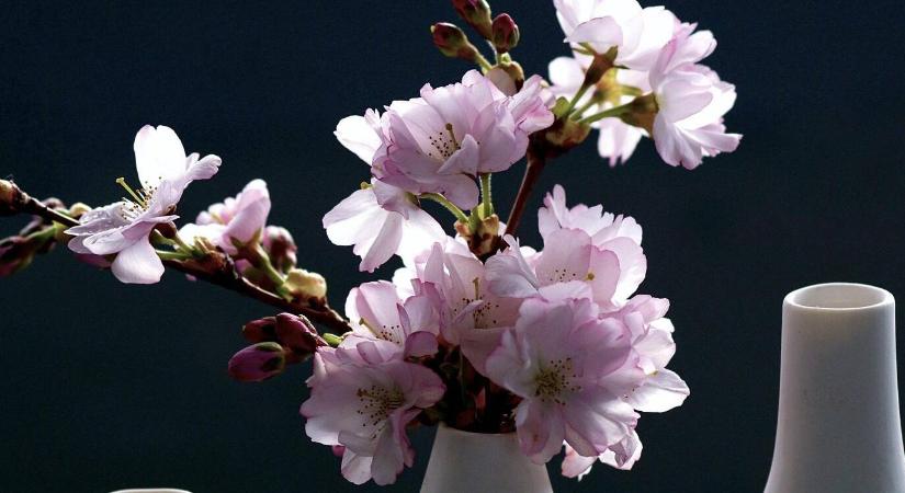 Ismeri a Barbara-ágat? Fogadjunk, hogy imádni fogja!