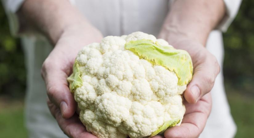 A karfiol nemcsak finom, de a rák elleni hatásos fegyver is