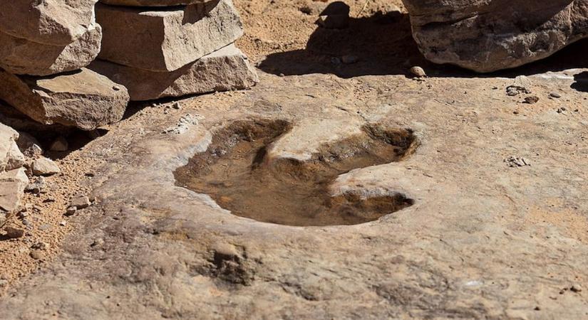 70 millió éves dinoszaurusz-lábnyomokat találtak egy ősi sziklatömbön