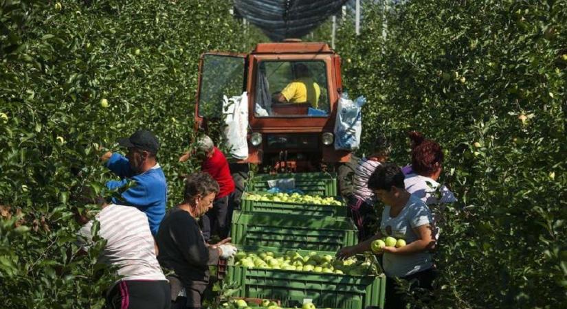 Nagy István szerint 2030-ra Európa élvonalába emelné a magyar agráriumot a kormány