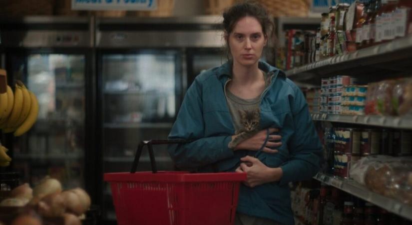 Bocs, kicsim – kritika