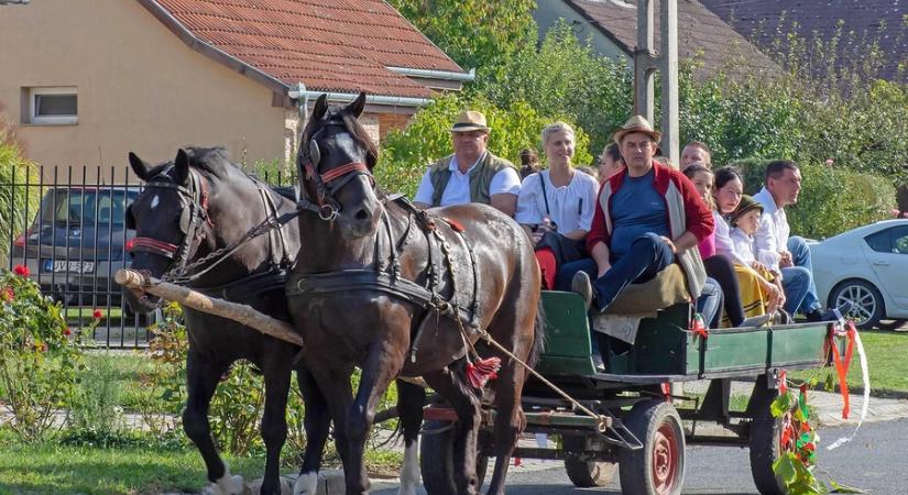Közösségi élet Palinban