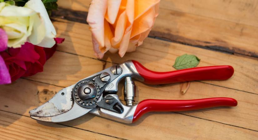 Itt egy profi metszőolló kiskezű kertészeknek, akár kertészkedő gyerekeknek