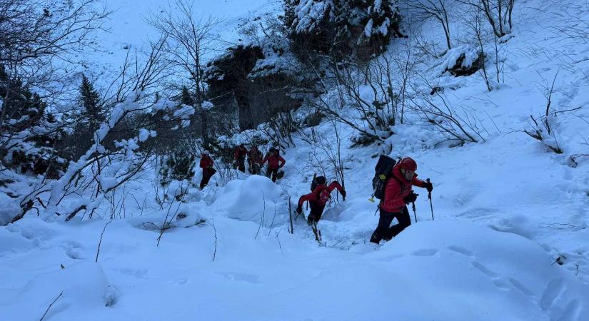 Újra átfésülik a Bucsecset az eltűnt brit diák után kutatva – A fiú édesanyja is segíti a hegyimentőket