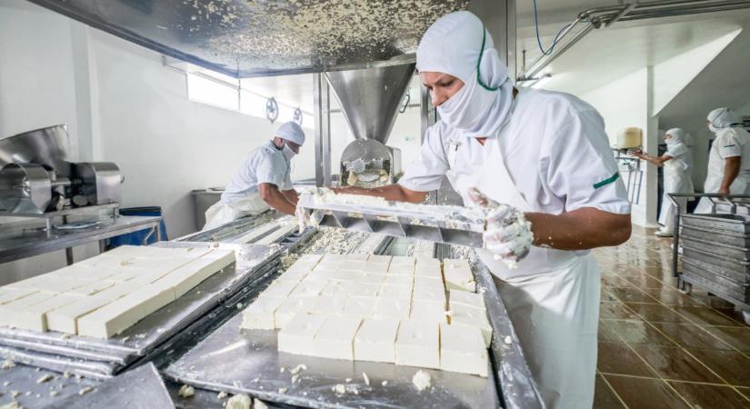 Ez az átka a magyar élelmiszeriparnak: így esélyünk se lesz