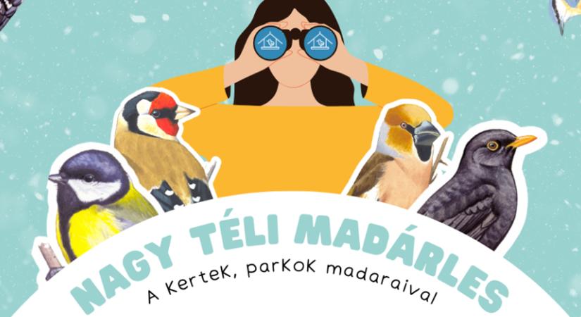 Lakossági madárszámlálási akciót szervez az MME