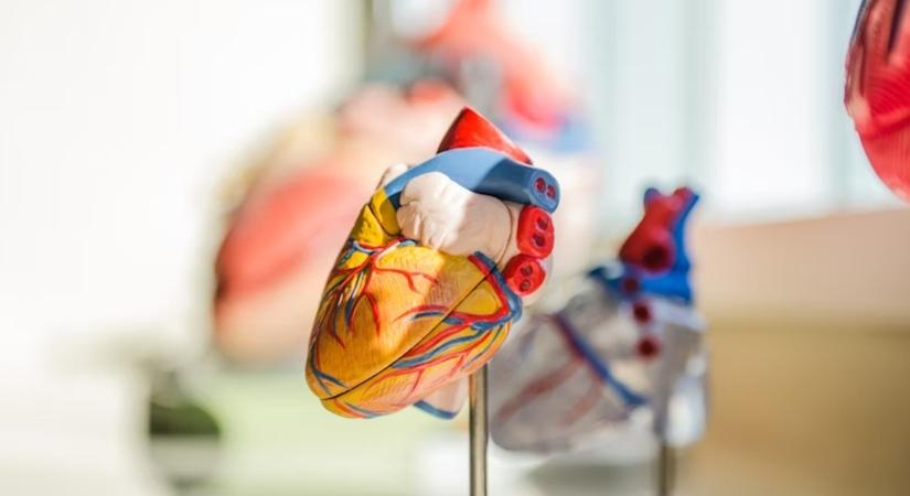 Apró robot, nagy remény – mikrorobotok úszhatnak hamarosan az ereinkben