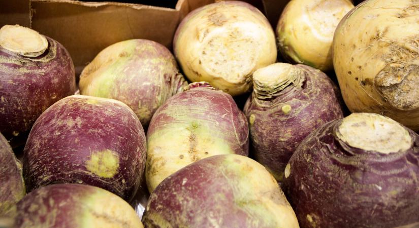 A zalai nagymamák titka: elfeledett finomság tért vissza a konyhákba, ezért rajong most mindenki