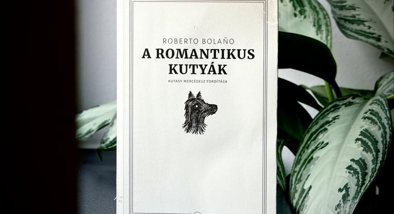 Megjártuk a Pokol olvasótermét, most már minden világosabbnak tűnik