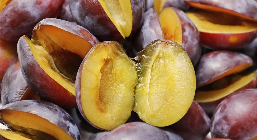 Kevés gyümölcsből is jutott feldolgozásra