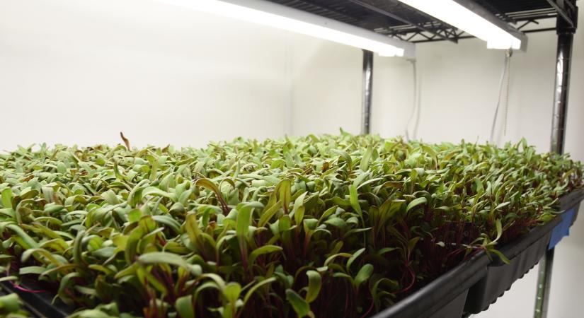 A jövő mezőgazdasága testközelből: ezt minden gazdának látnia kell