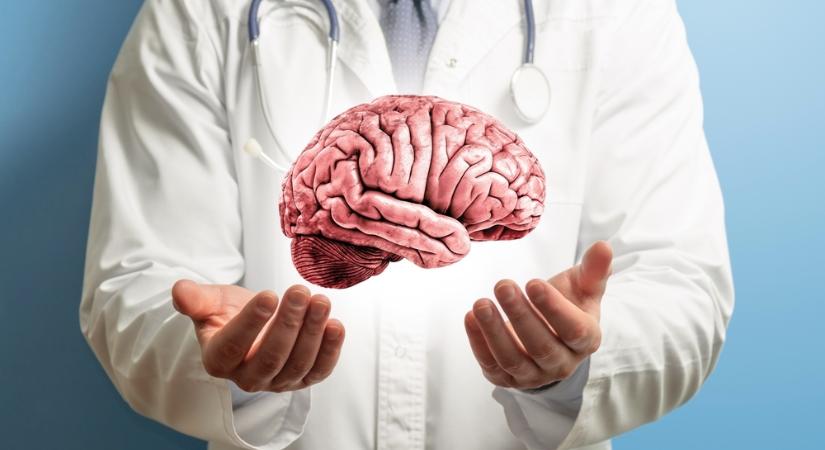 Megdöbbentő felfedezés: az agyunk négyszer teljesen átformálódik életünk során