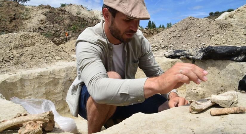 A Fox News tett róla, híres lett a fehérvári régész!