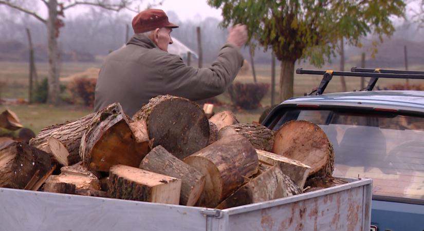 Mától osztják Vásárhelyen a szociális tűzifát