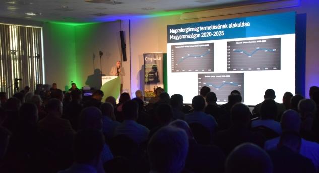 Napraforgó 6 t/ha felé: döntések és bizonyítékok