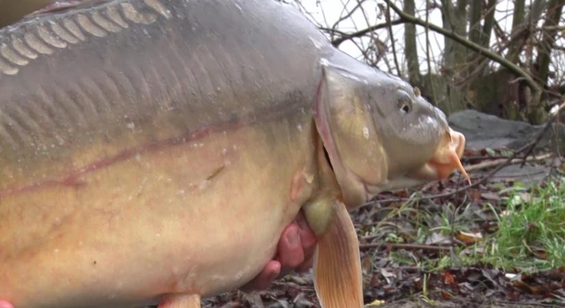 A telepítés két helyszínen történt a szerdai napon
