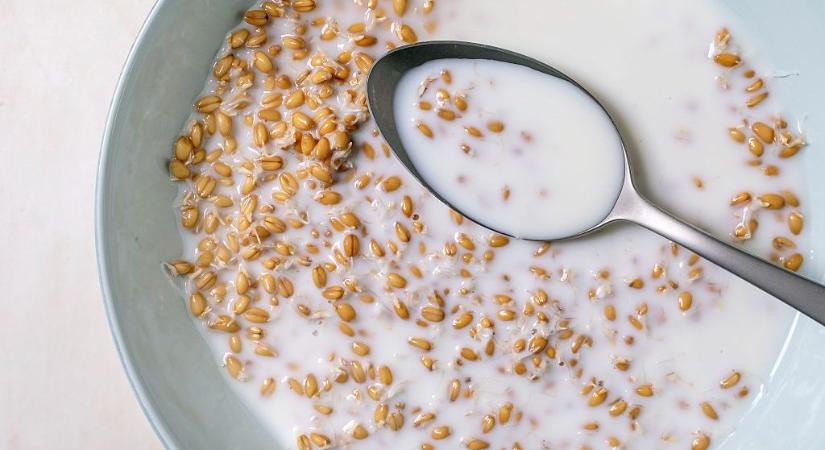 „Örök vegyi anyaggal” fertőződhettek mindennapi gabona alapú termékeink