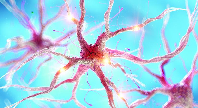 Beszámoló az Európai Gyermekneurológiai Társaság kongresszusáról