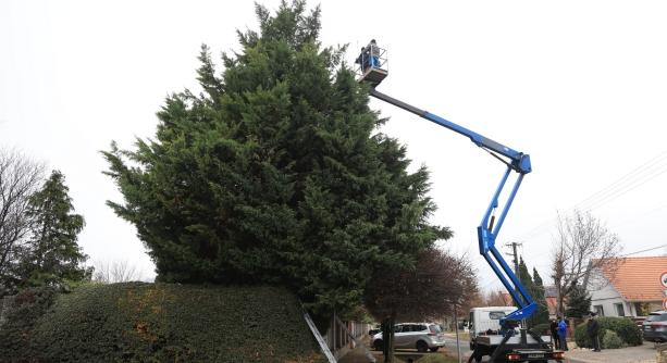 Újabb fa öltött ünnepi köntöst Újtelepen