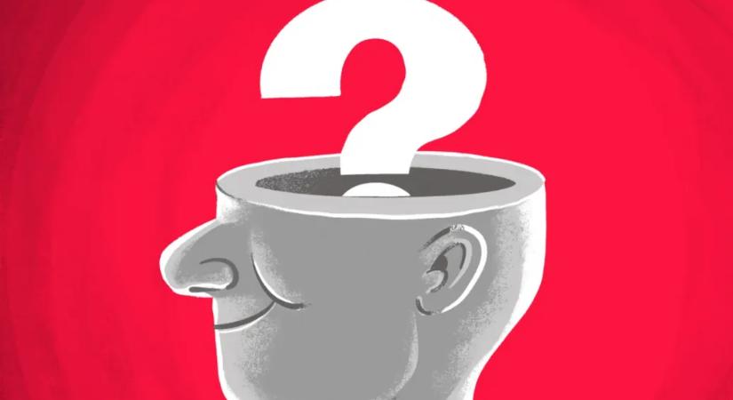 Who do you call stupid? – Telexikon